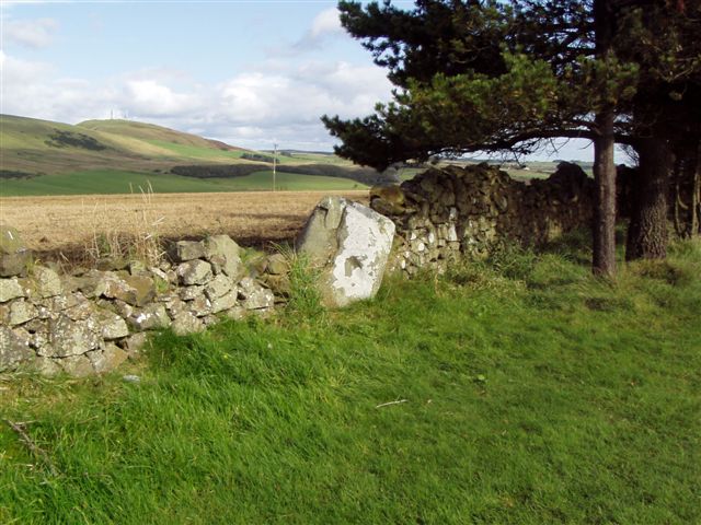 Bandrum [Bandrum Hill] Standing Stones : The Megalithic Portal and ...