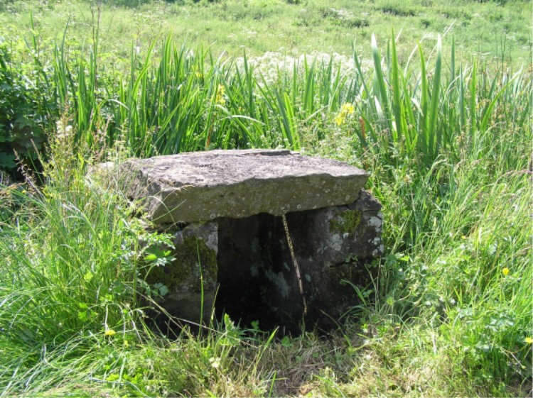 The Monks' Well lies a short distance northeast of the abbey ruins, very close to the north bank of a small steam and in very marshy ground.  It is a small stone lined compartment with a very healthy water flow.