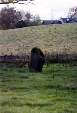 NH758446
Standing stone to East of Balnuaran of Clava Cairns - only about two hundred yards away but not on OS Map.

Access is along a long straight country lane (from the East, West end blocked off) that was probably drive way to a big house - trees either side.

Stone itself about six feet high.