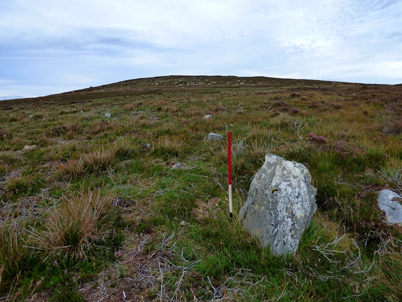 The largest stone in the alignment stands 0.73m high. In many of the multiple rows the tallest stones are at the lower end (Scale 1m). 5 September 2016.