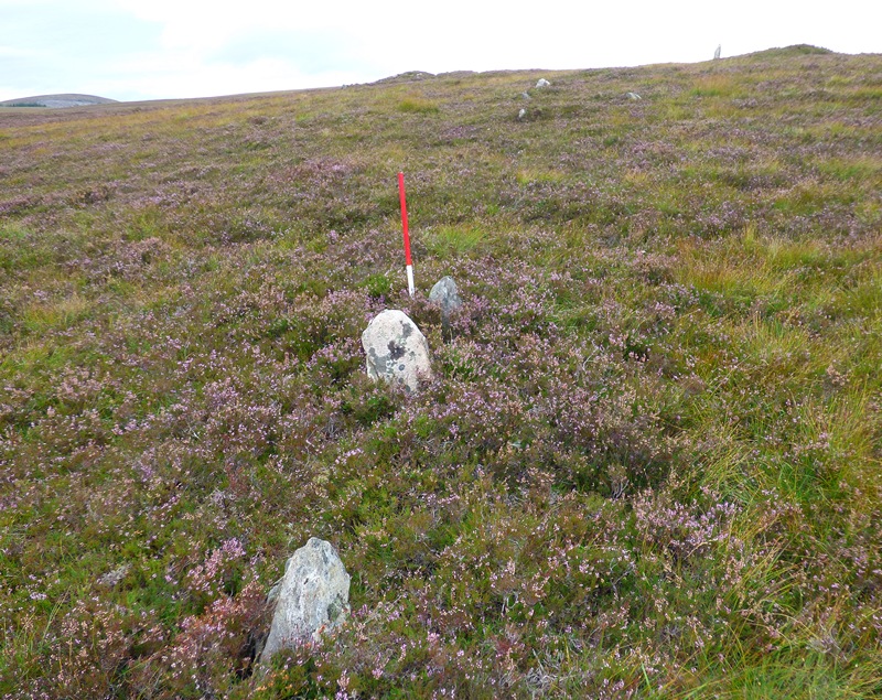 Learable Hill Row 4. Row of stones leading up the southern slope of Learable Hill. View from south (Scale 1m). 1 September 2016.
