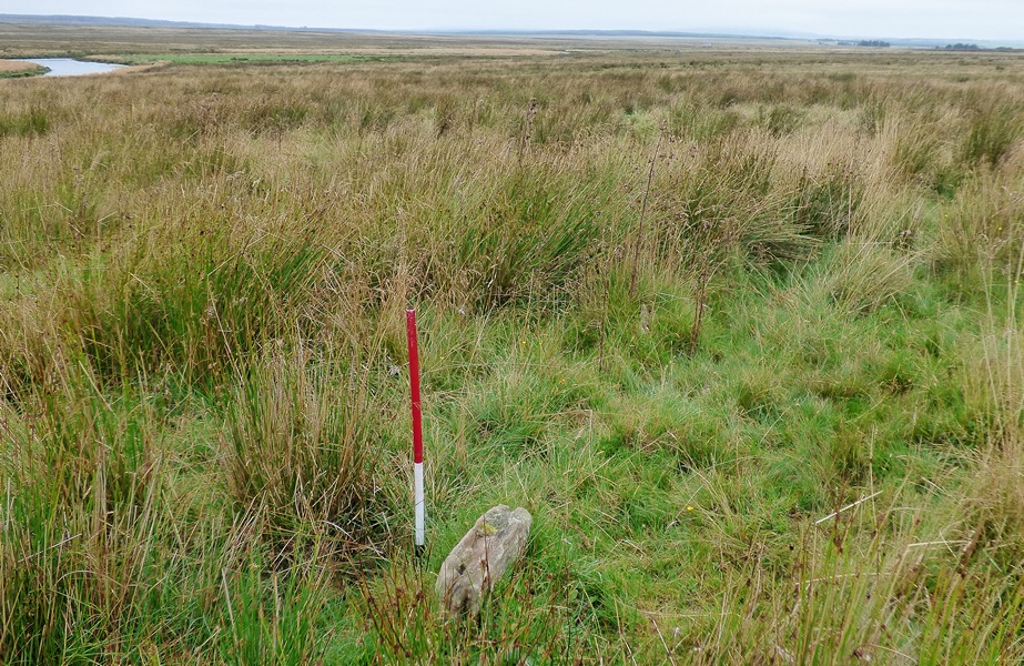 One of the larger edge set slabs. The nearby River Thurso may have been visually incorporated into the design of the rows. View from south east (Scale 1m).