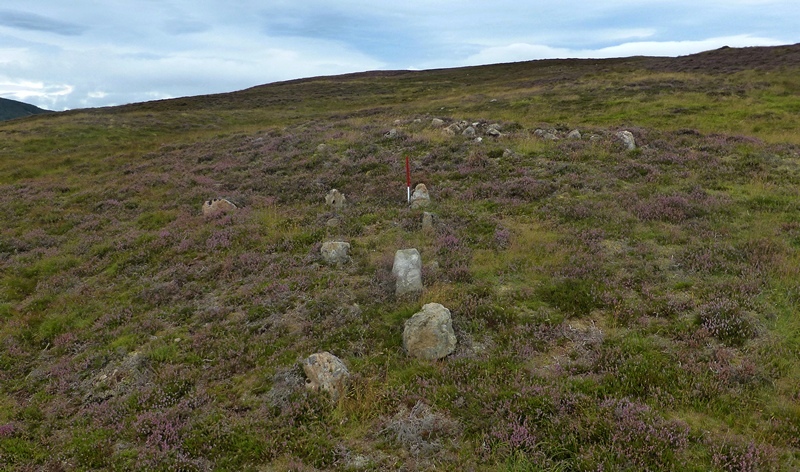 Looking WNW from above (Scale 1m). The cairn at the top of the double row is clearly visible from this angle.