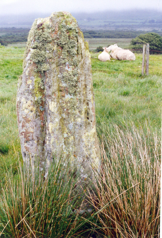 Moss Farm Stone, or Machrie Stone, to the left of the road between the Moss Farm Road Cairn circle and the main circles on Machrie Moor.