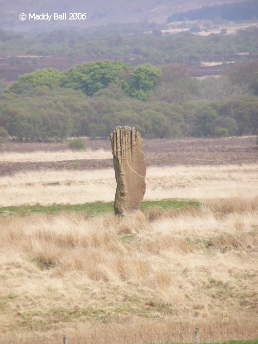 Machrie Moor 3