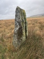 Moss Farm Stone - PID:280776