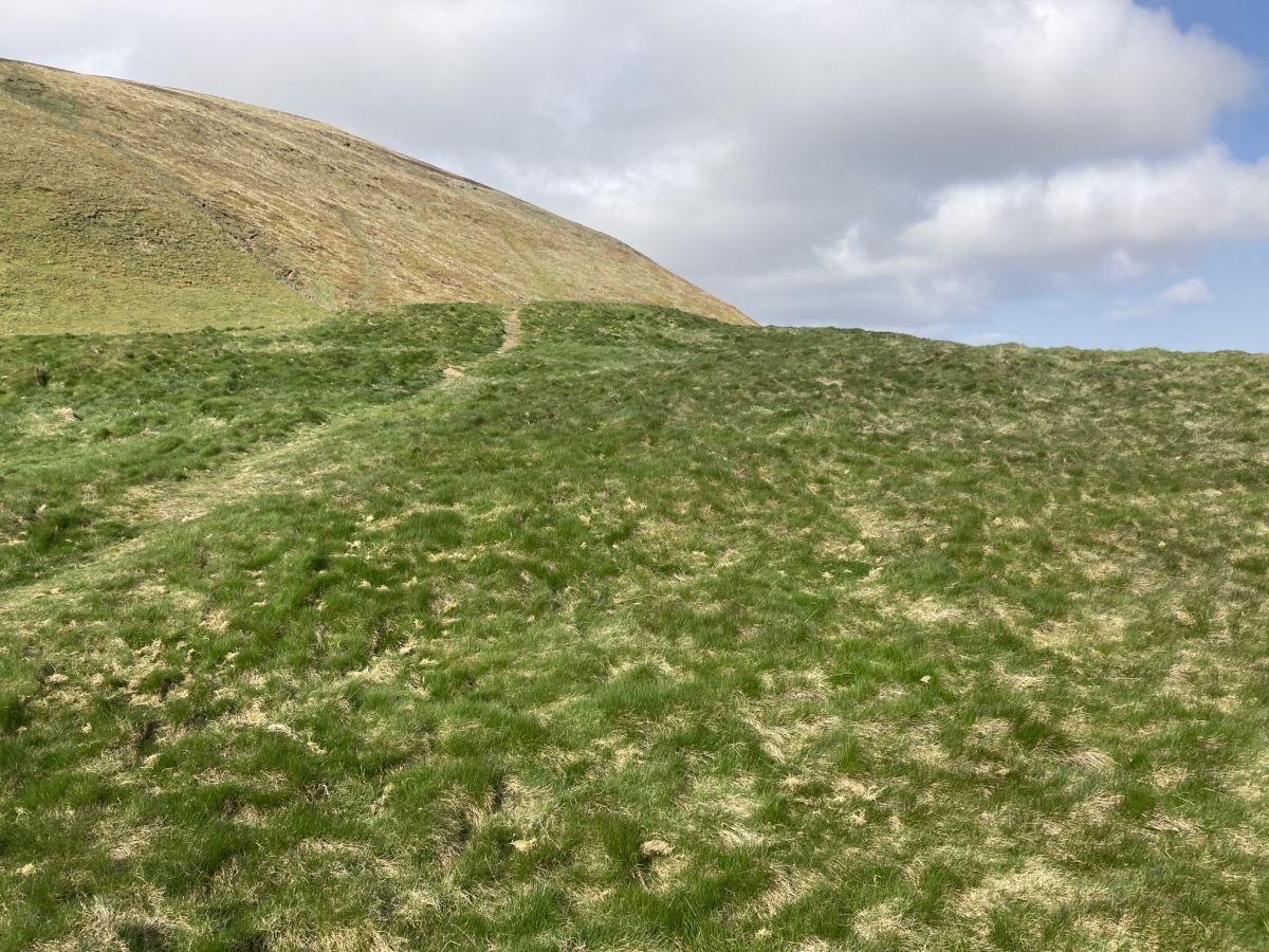 Hillend Hillfort Enclosure viewed from E.