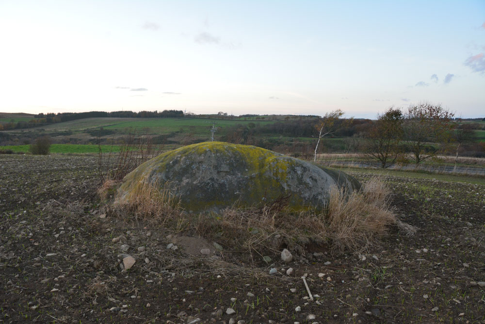 The farmer has left a wide grass verge around the edge of this boulder - goodness knows how much of it is still under the soil!  This view looks over the stone to the north west.