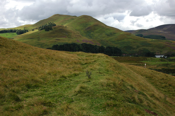 Castle Law