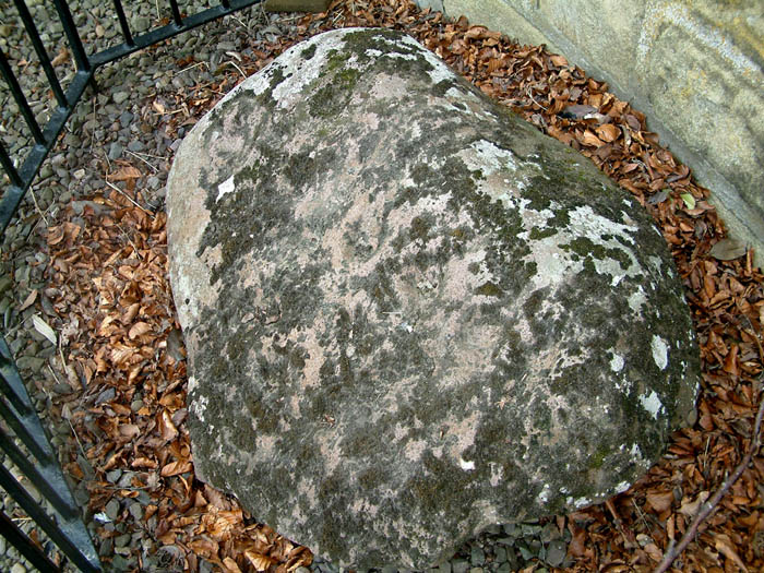 Glencorse Cup and Ring Marked Stone