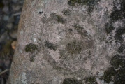 Glencorse Cup and Ring Marked Stone - PID:184222