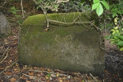 St Matthew's Well (Roslin)