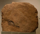 National Museum of Scotland (Pictish Stones) - PID:179231