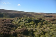 Whiteadder Reservoir - PID:187887