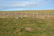 Mayshiel Stone Circle - PID:187893