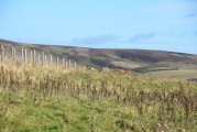 Mayshiel Stone Circle - PID:187894