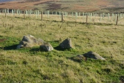 Mayshiel Stone Circle - PID:187895