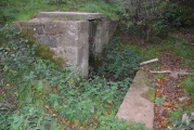 St John's Well (Spott) - PID:187932