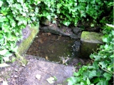 St Baldred's Well - PID:24600