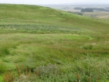 Camp Hill Burnt Mound North - PID:156753