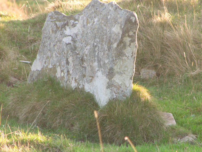 The Redland/Keek standing stone (RCAMS 273 at HY37992486) was, and still is, the most visible piece of Redland South's stonework