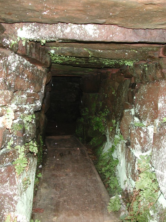 Entrance to Vinquoy cairn. There's a gate on it, maybe to stop sheep from getting stuck in there; it's low and narrow.