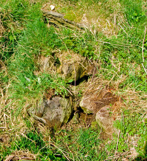 Fairy Well (Stenness)