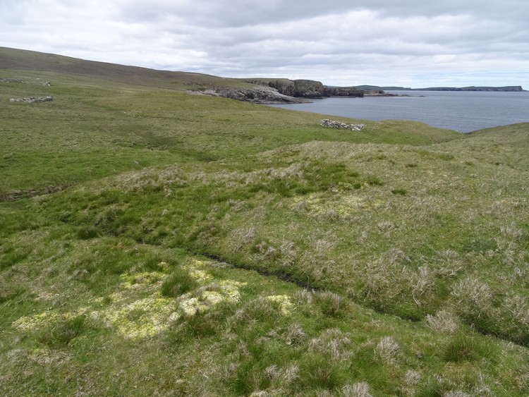 Knowe of Willol Burnt Mound