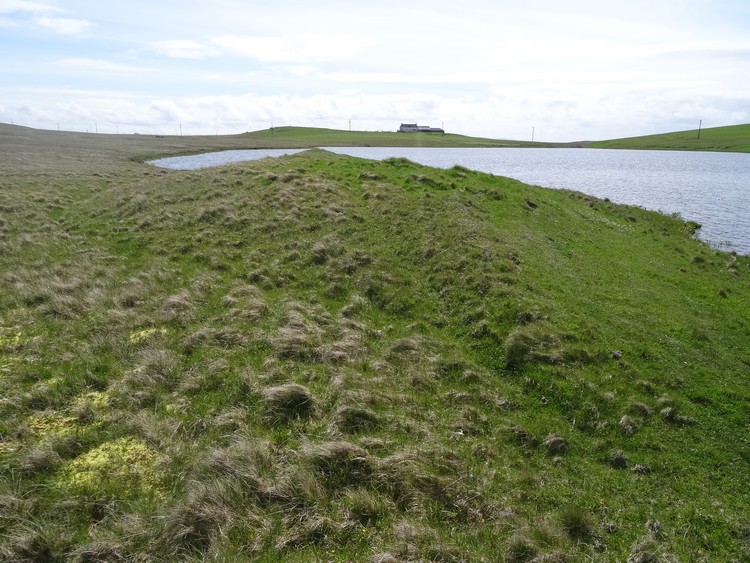 Burnt mound at Loch of Breckon - view from the north (photo taken on June 2015).