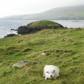 Broch of Mail - PID:125097