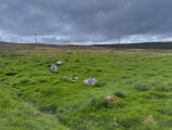 Semblister Stone Circle - PID:262611