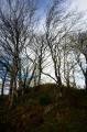 Corry chambered cairn - PID:173176