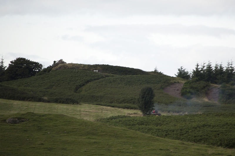 Castlehill Wood Dun