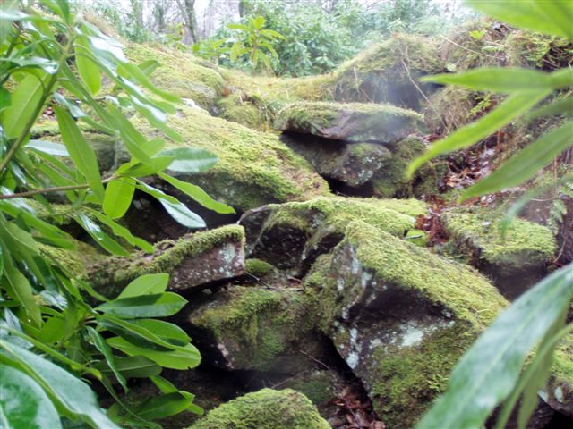 Leckie Broch