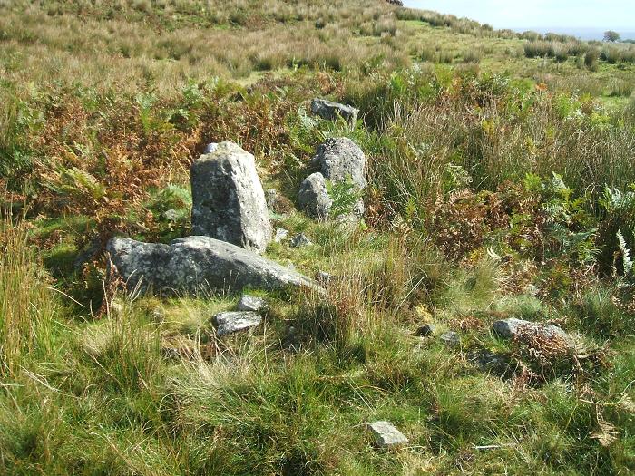 Craigmaddie Muir Chambered Cairn : The Megalithic Portal and Megalith Map: