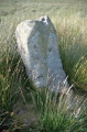 Quinloch Muir Stones - PID:214986