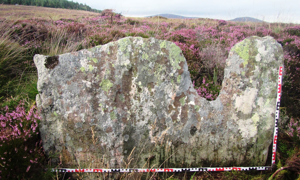 The main southern stone of the East Langass Stone Circle