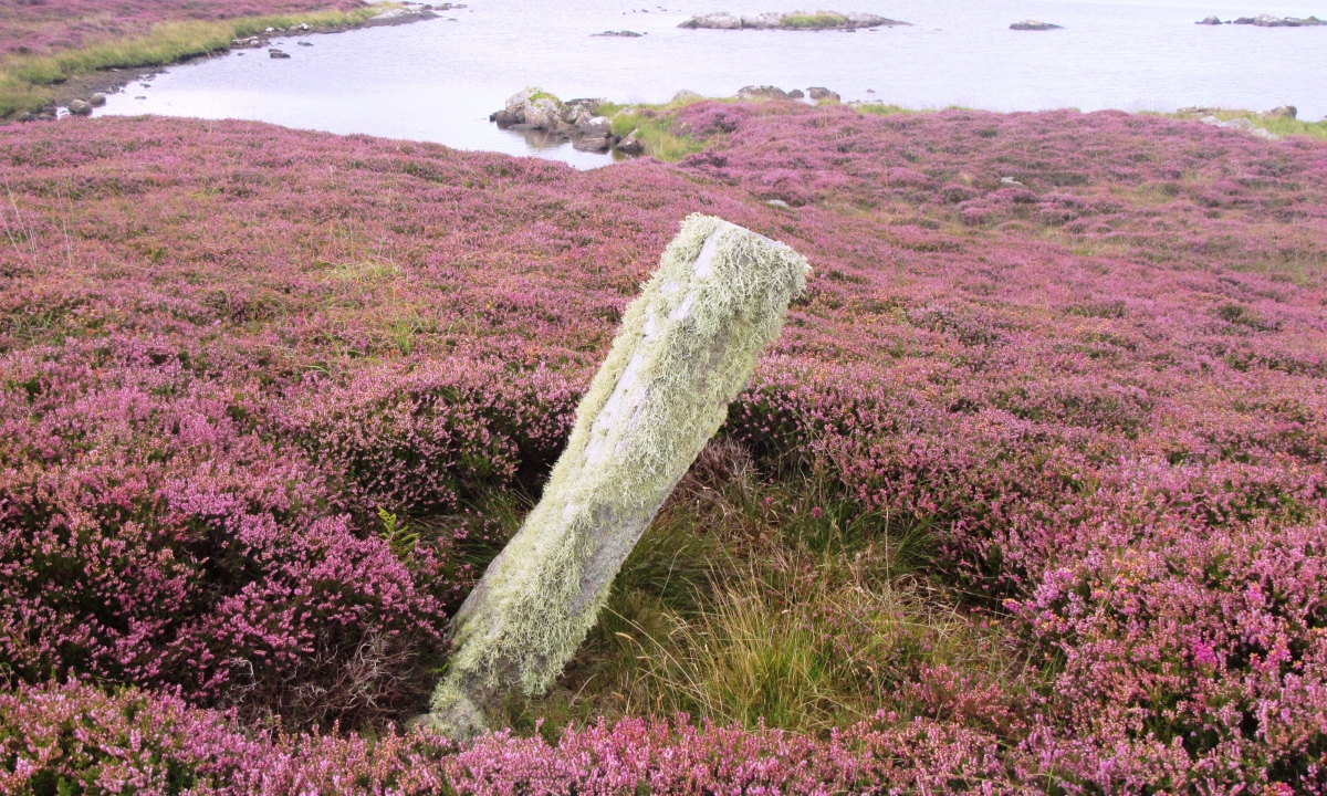A standing stone, approximately 1.24 metres high, around 0.4metres wide and 0.1metres thick.