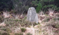 Not-so-Standing Stone - PID:273797