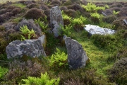 Chambered cairn 200m WNW of Craonaval - PID:274127