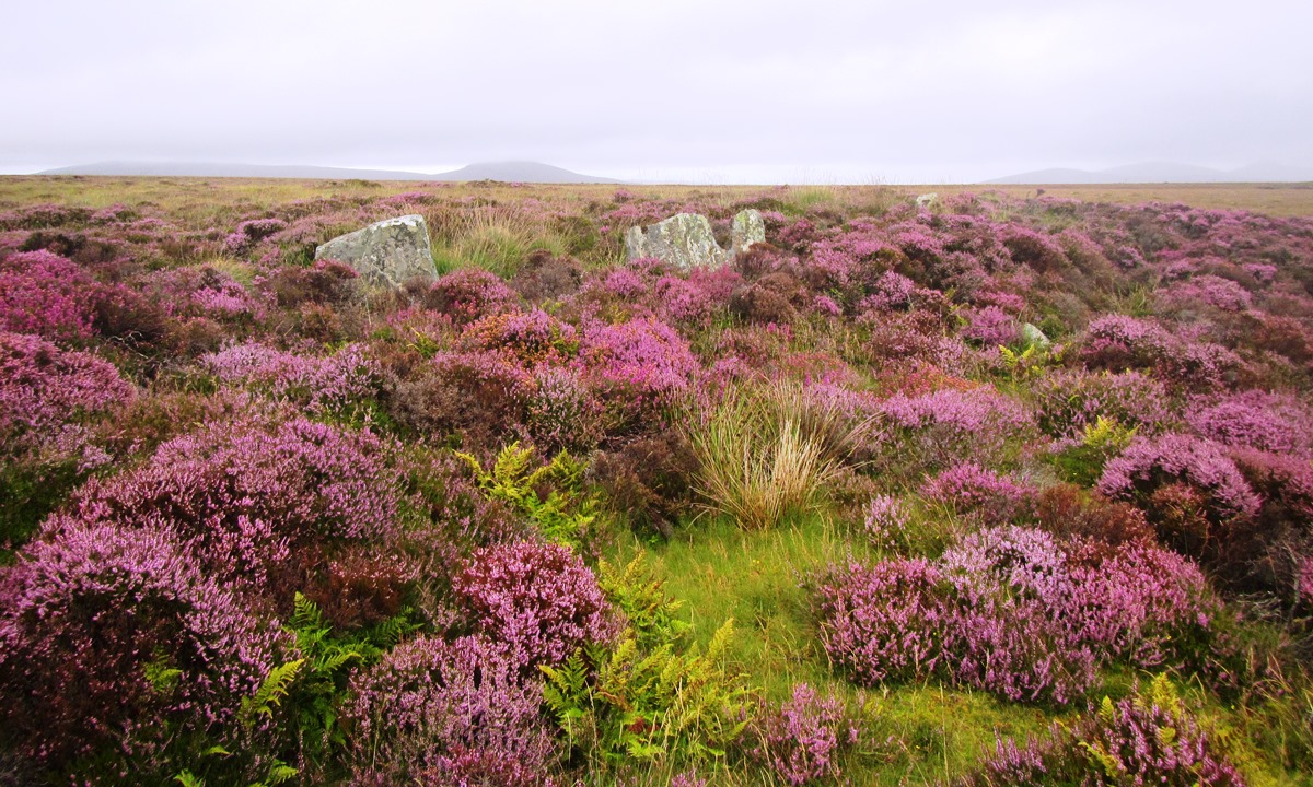 East Langass Stone Circle