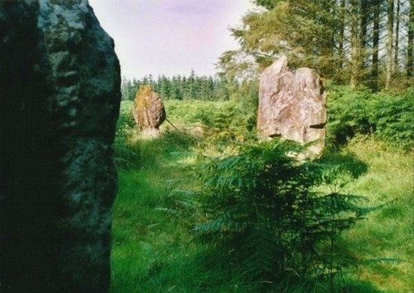 Blackpark (Kingarth) stone circle.

