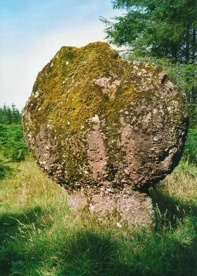 The large propped stone at Blackpark (Kingarth) stone circle.