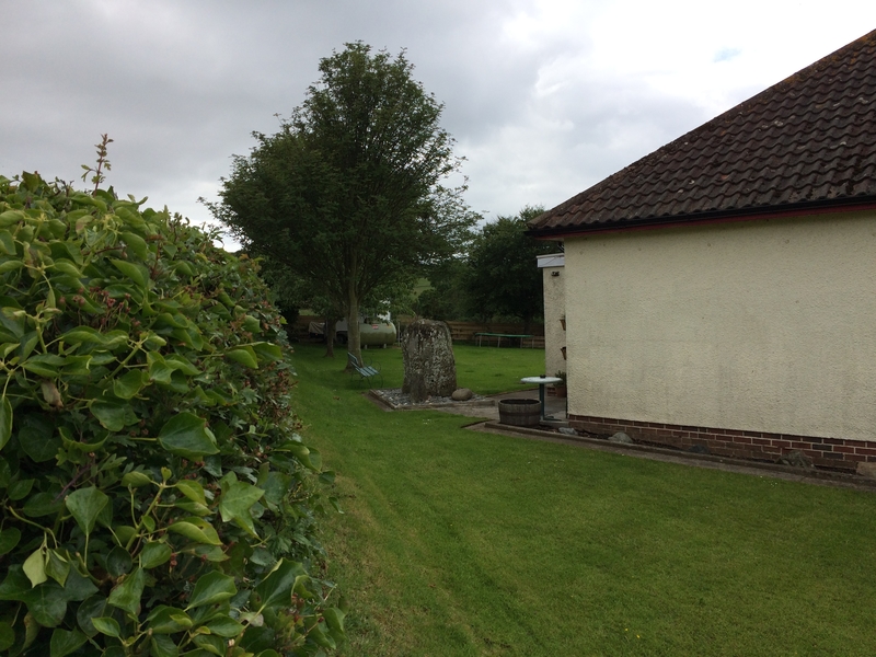 Garleffin Stone in back garden of Druidslea.