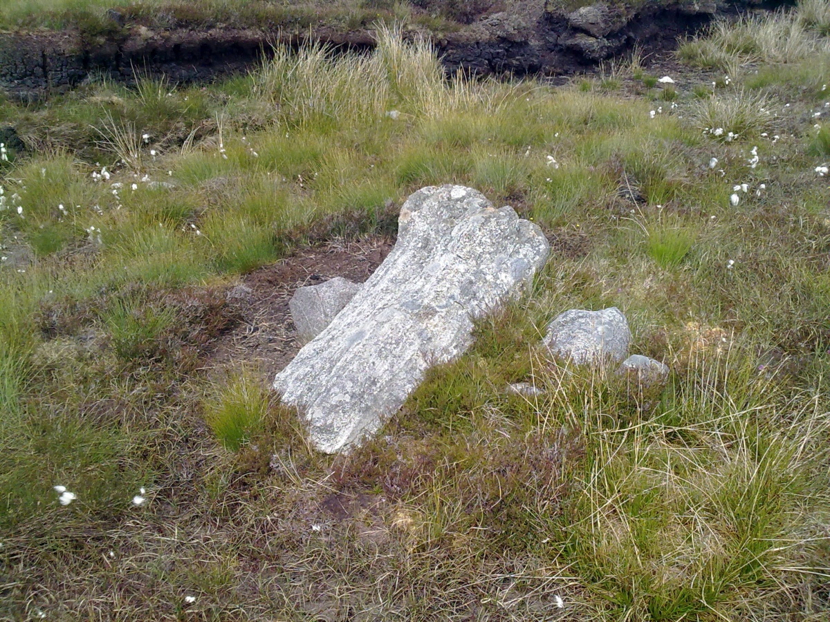 Recumbent Stone (c. 35°) of Achmore Stone Circle. (02.07.11)