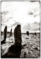 Callanish - PID:137086