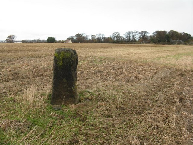 Standing stone at Gogar
Copyright M J Richardson and licensed for reuse under the Creative Commons Licence.

