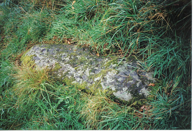 Site in Perth and Kinross. This is the cup-marked stone,usually covered with grass.You have to search for it.
