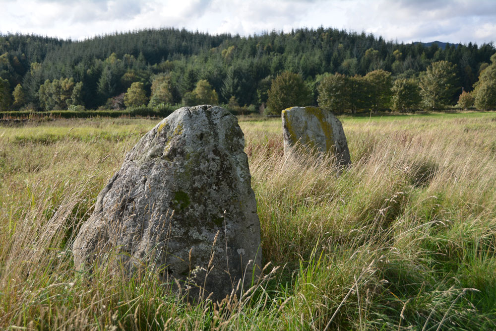 Standing a few metres east of the easternmost stone, looking almost due west.