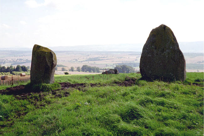 Thorn Stone Pair